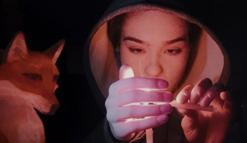 lisica pod ružičastim mjesecom